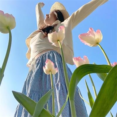 屋顶上的轻骑兵